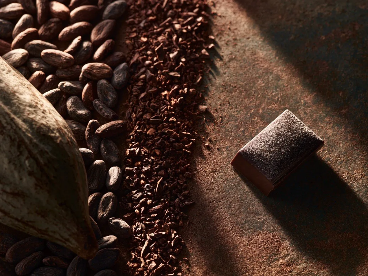 Cocoa beans and chocolate side by side